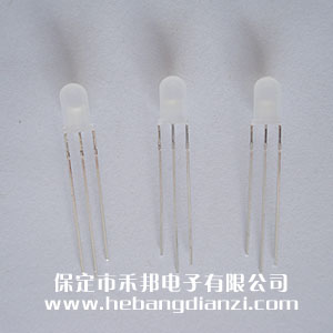 ��5��-�t�G�pɫ���(y��ng)