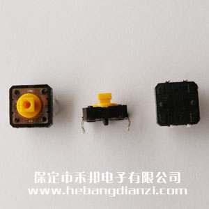 輕觸開關(guān)B3F-4055
