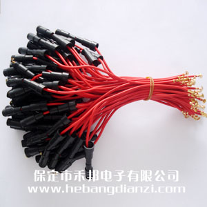 帶線保險管套(6*30)