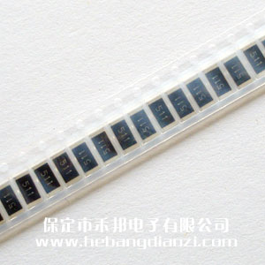 封裝2512 5% 貼片電阻