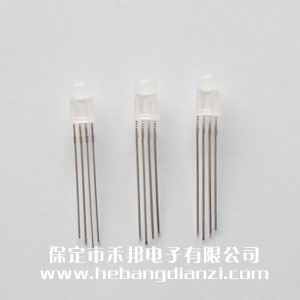 ��5ȫ���F�b ���