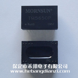 隔離變送器 TM5650P