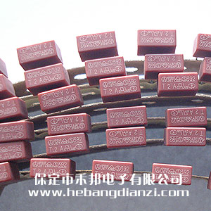 方型保險絲T2A 250V 普通