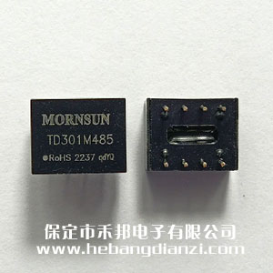 485隔離模塊 TD301M485