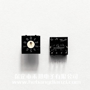 編碼開關(guān)0-9 直插